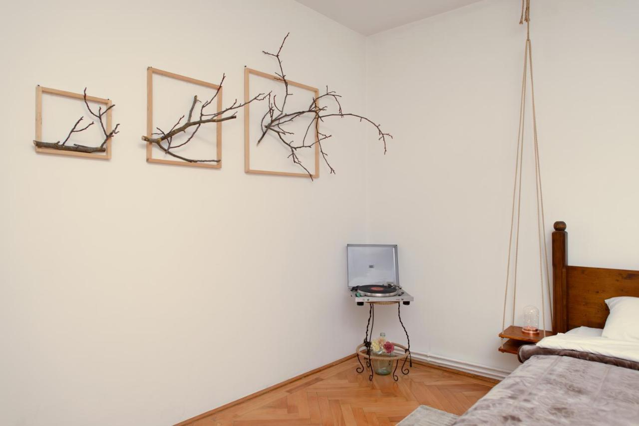 Sunshine Apartment براشوف المظهر الخارجي الصورة